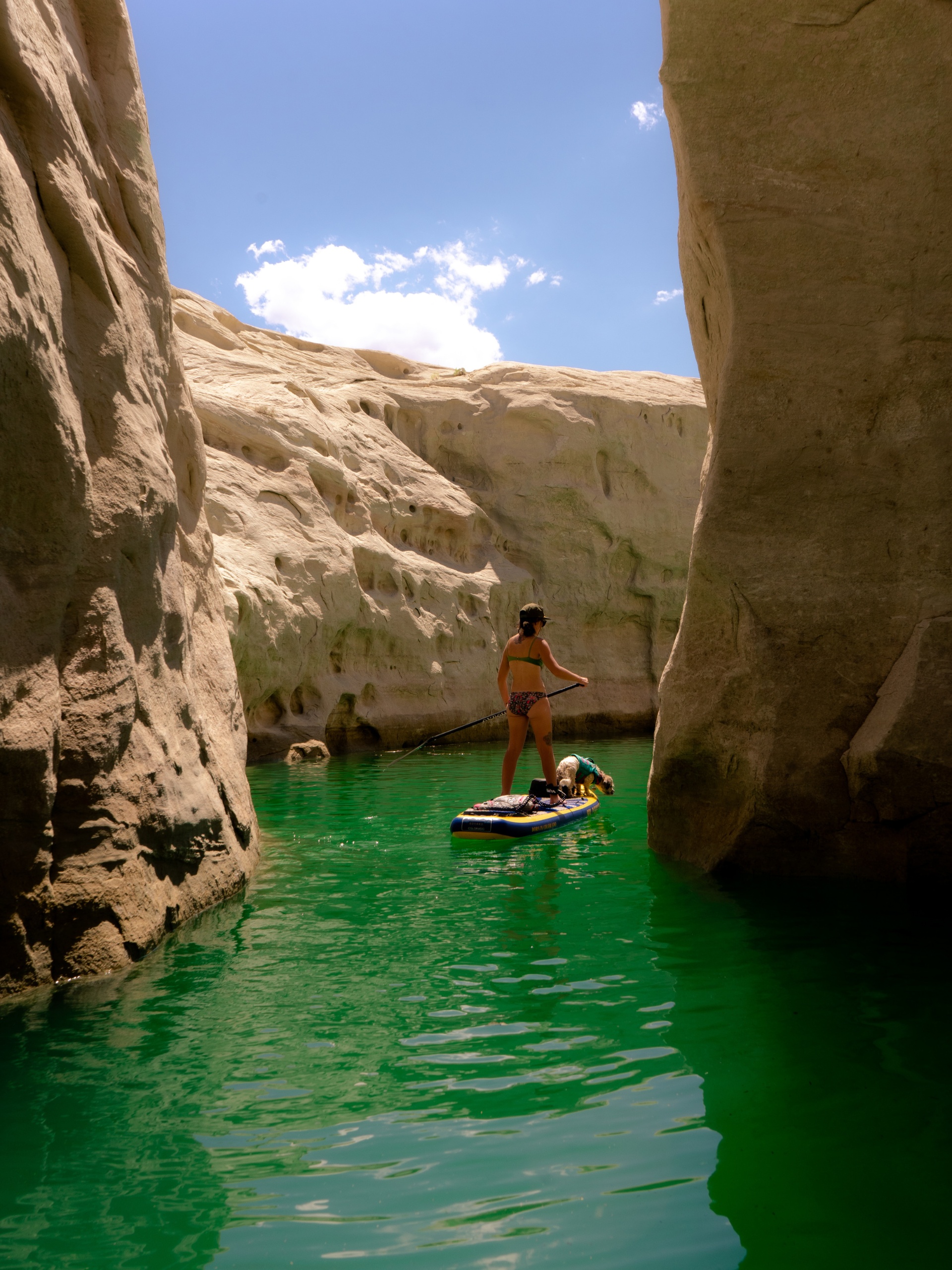 A woman paddleboards through Wahweap canyon with a dog