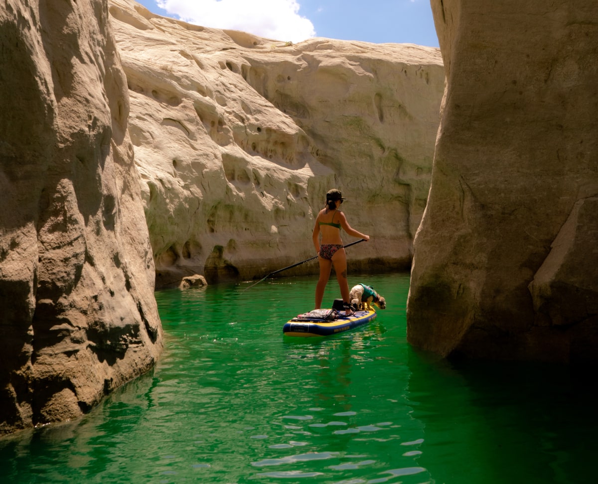 woman and her dog on a stand up paddleboard through a small canyon on lake powell