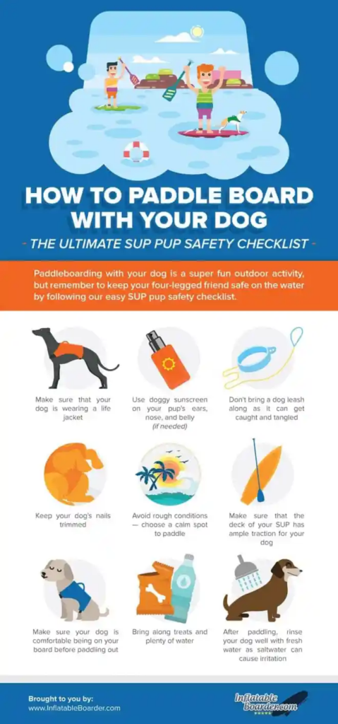 stand up paddleboard safety for dogs