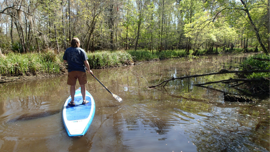 a man paddleboards a river in louisiana